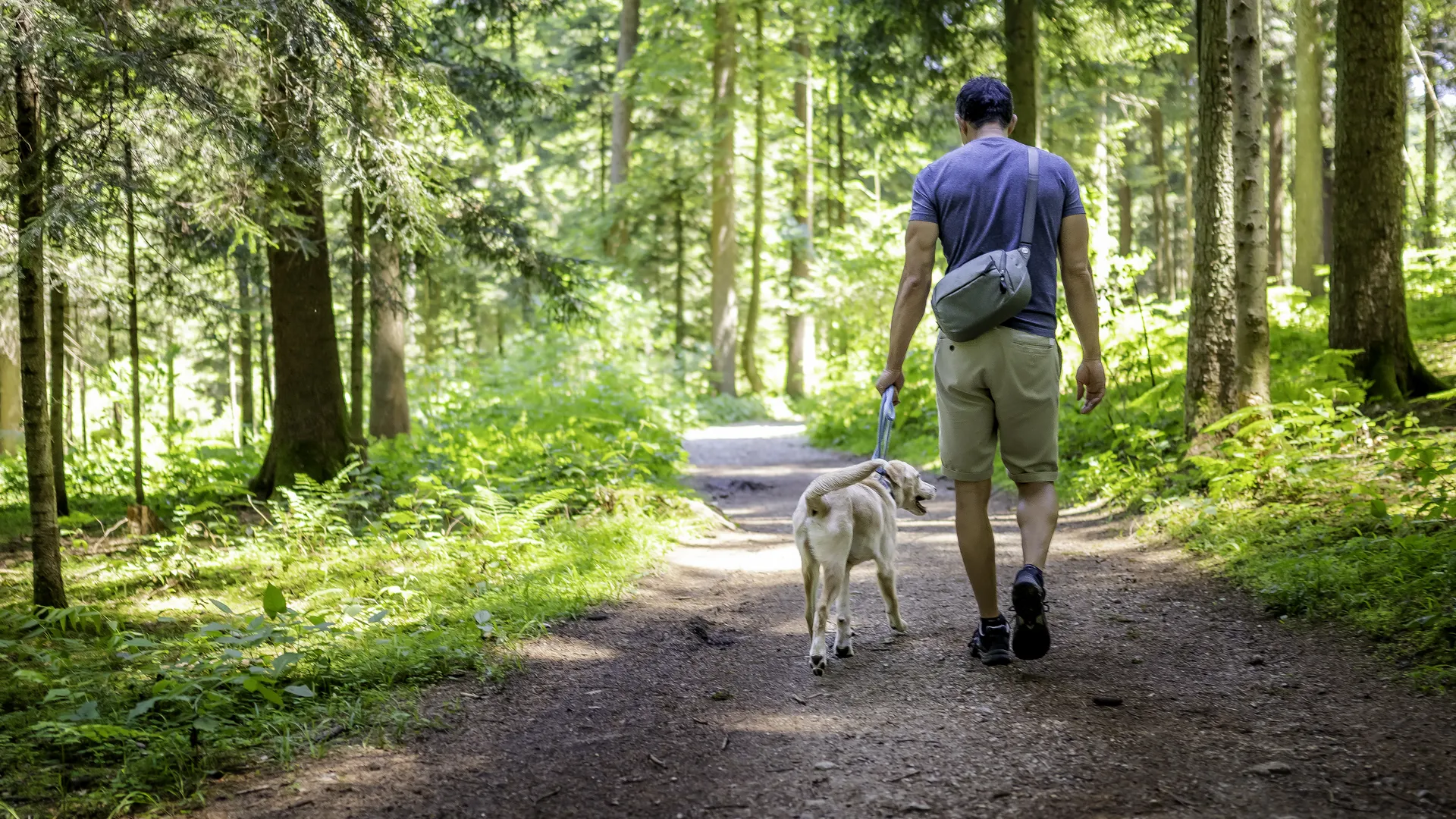 Man walking/hiking with white dog